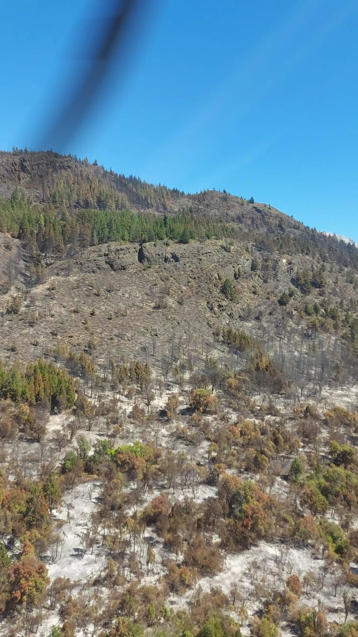 Brigadistas contuvieron el incendio en la zona de&nbsp;Epuyén