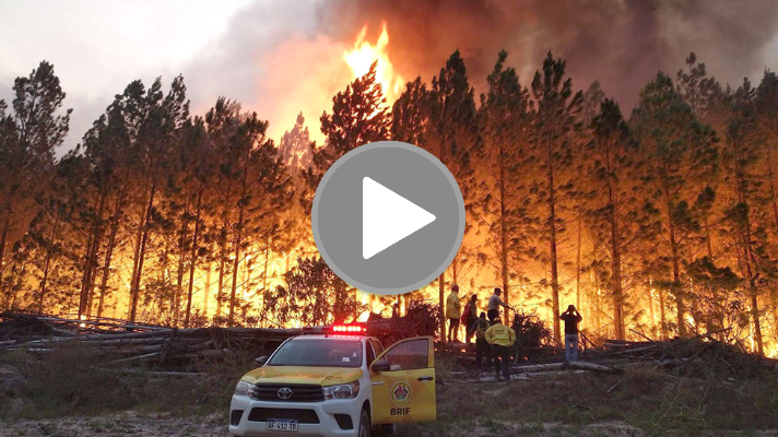 El humo de los incendios rurales afecta la capital de Corrientes y zonas&nbsp;aledañas