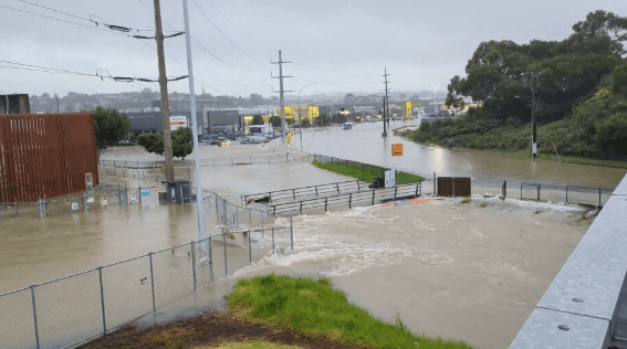 Sube a ocho el número de muertos por un ciclón en Nueva&nbsp;Zelanda
