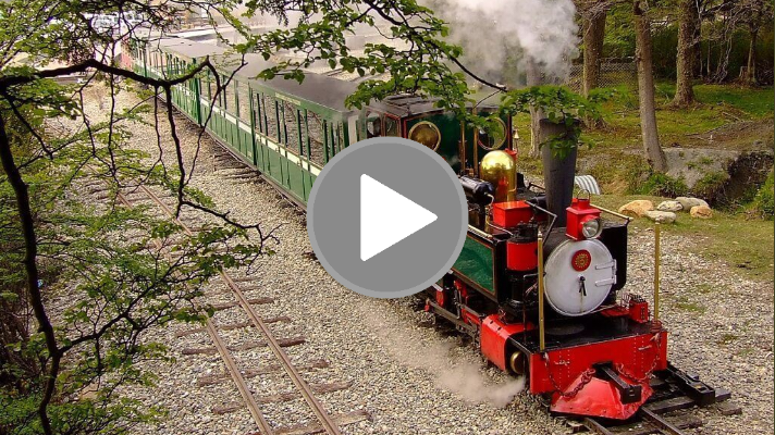 Conoce el Tren del Fin del Mundo, un viaje mágico hacia los bosques del&nbsp;Sur