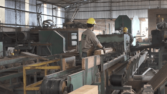 Instalarán un nuevo Centro Tecnológico de la Madera en&nbsp;Misiones