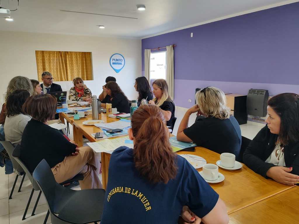 Funcionarios provinciales participaron de una reunión con Áreas de Géneros y Diversidad de la Comarca&nbsp;Andina