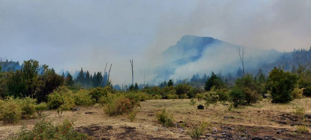 Más de 150 personas trabajan para controlar incendio en cercanías de&nbsp;Epuyén