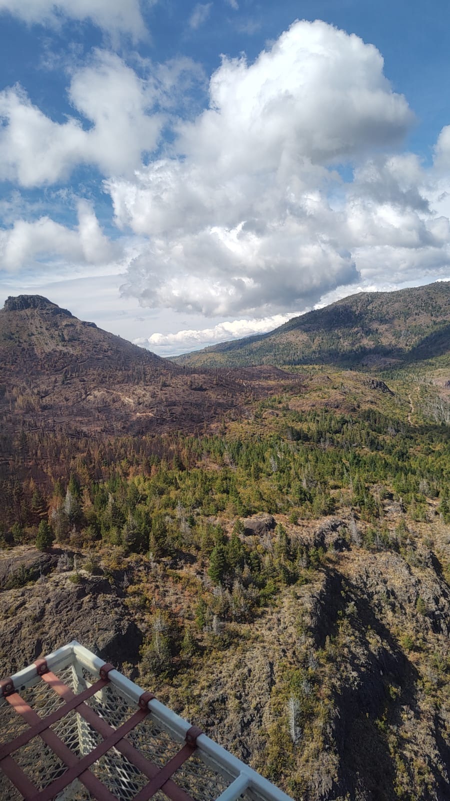 Tras un arduo operativo, brigadistas controlaron incendio en la zona de&nbsp;Epuyén