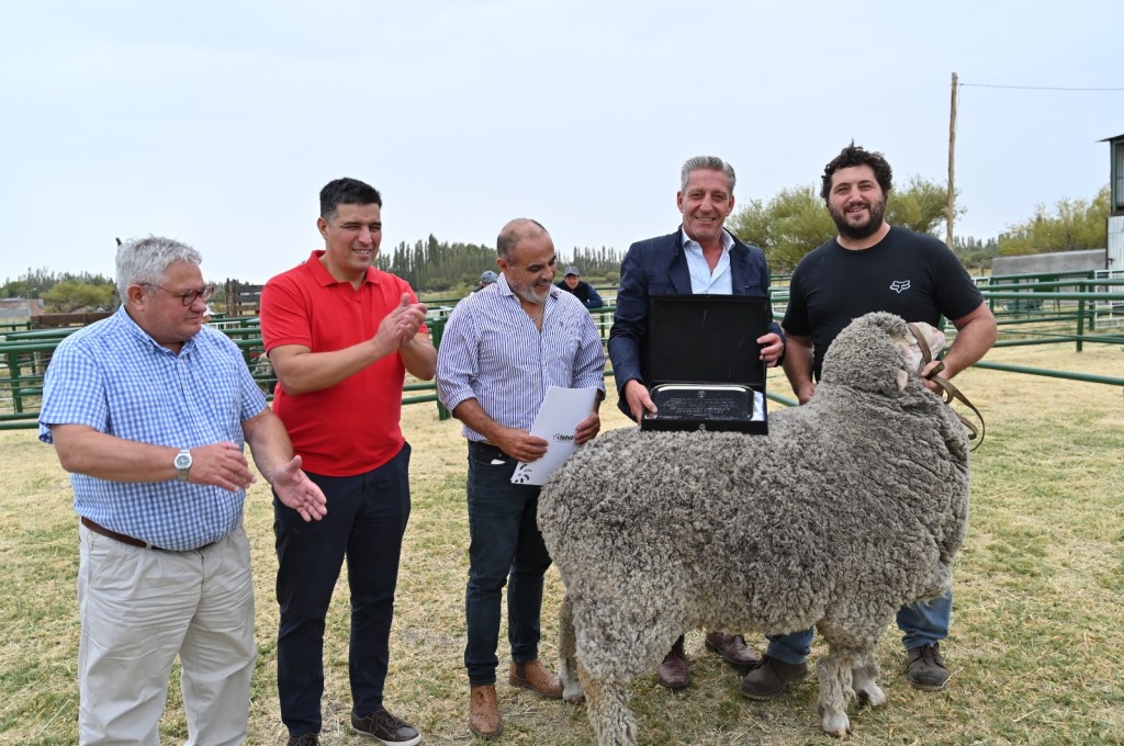 Se realizó la tradicional Exposición Agrícola y de Carnero a Campo en&nbsp;Sarmiento