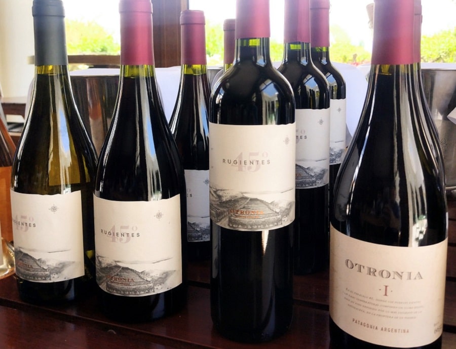 Bodegas de Chubut participarán en Alemania de la mayor feria internacional de&nbsp;vinos