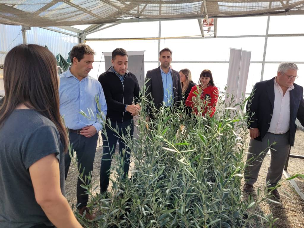 Comodoro Rivadavia: Nuevas acciones de acompañamiento a la producción olivícola&nbsp;provincial