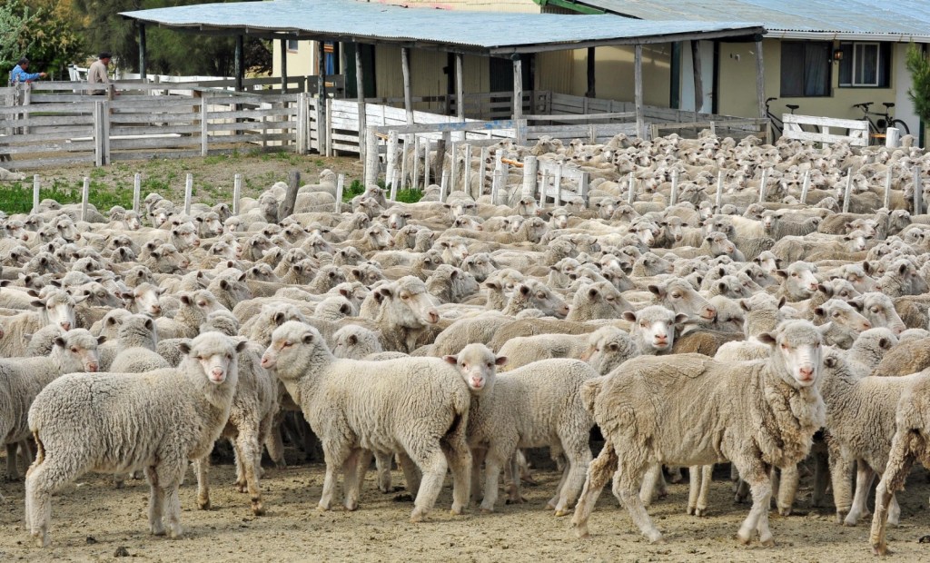 Se puso en marcha el Plan LanAr con una asistencia preliminar de $520 millones para todo el sector productivo&nbsp;chubutense