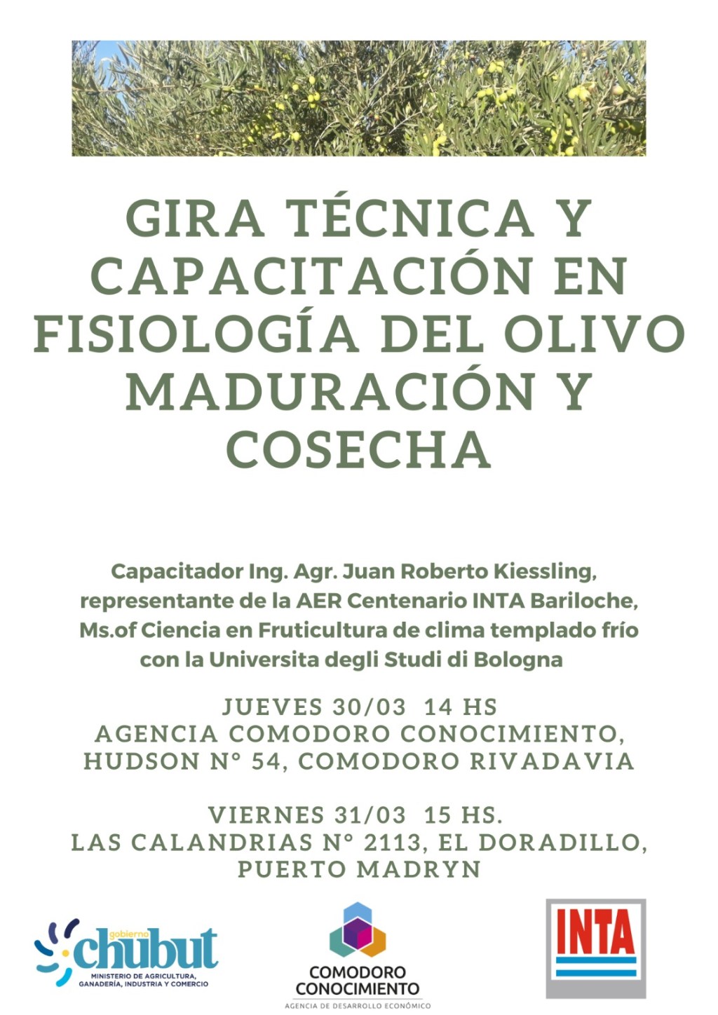 El Gobierno de la Provincia convoca a capacitación sobre fisiología del&nbsp;olivo