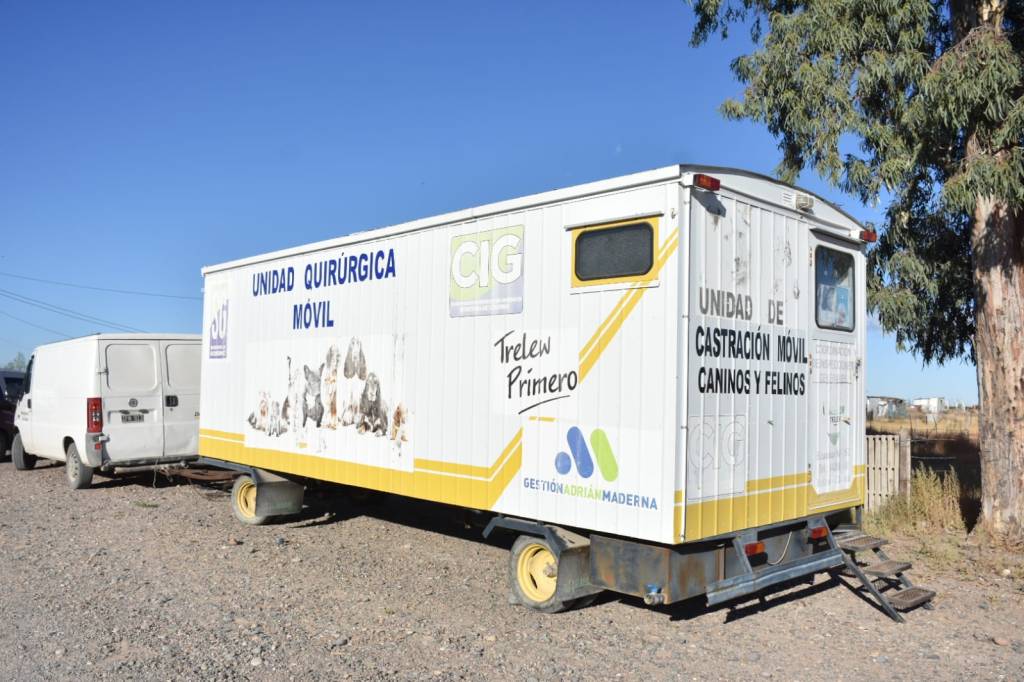 La Municipalidad de Trelew continúa con la campaña de castración gratuita en barrio&nbsp;Costanera