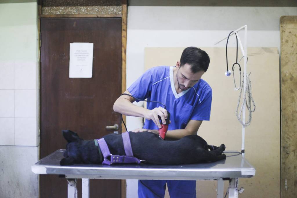 El Programa “Veterinaria en tu barrio” comenzó en Rawson con castraciones y vacunación en el Centro Comunitario de General&nbsp;Valle