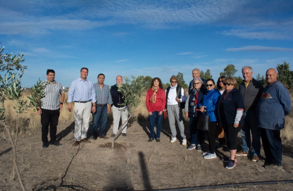 Rawson Produce: la Municipalidad hizo entrega de plantas de olivos para su desarrollo en el predio de una&nbsp;fundación