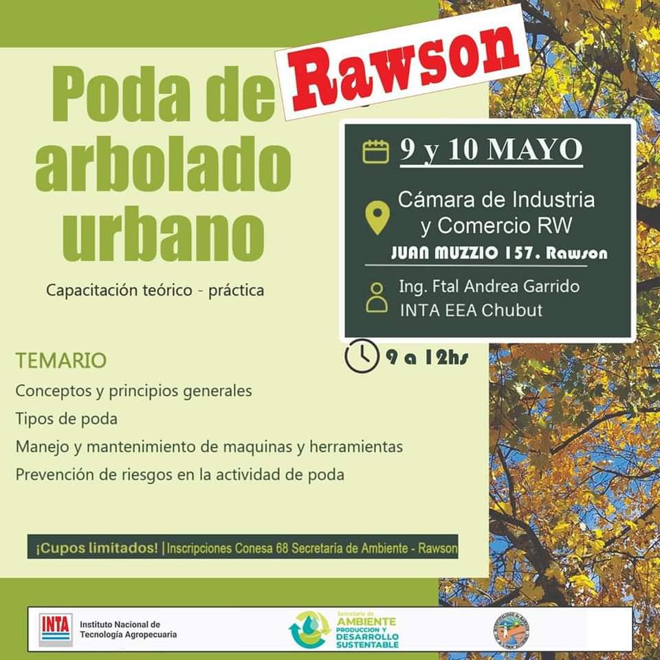 Se realizará en Rawson una capacitación en Poda de arbolado&nbsp;urbano
