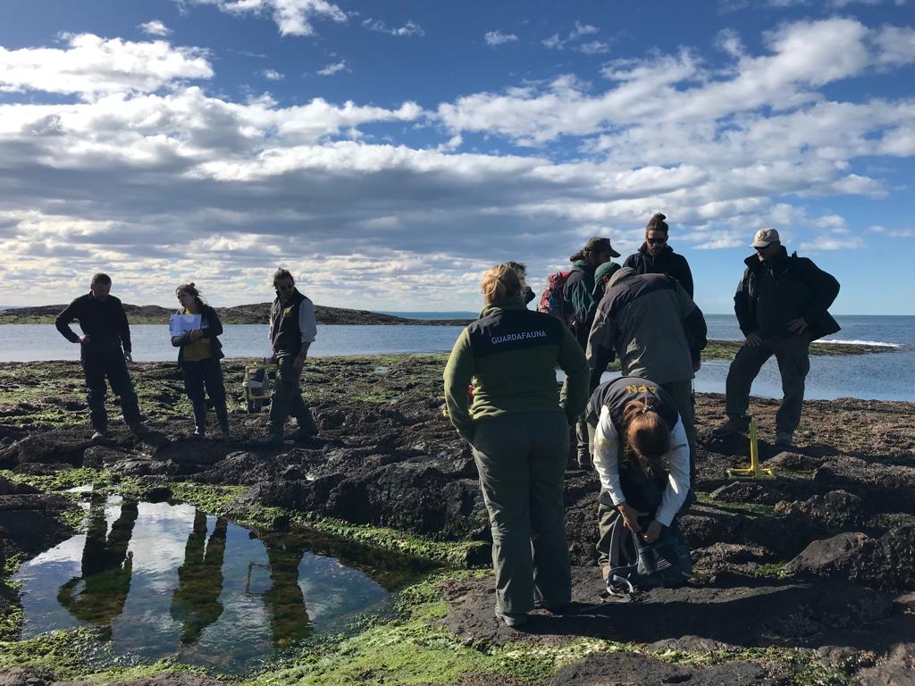 El Gobierno de la Provincia participó de un taller de monitoreo de&nbsp;biodiversidad