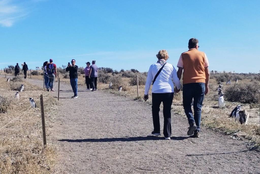 El Área Protegida de Punta Tombo tuvo el mayor récord de visitantes de los últimos quince&nbsp;años