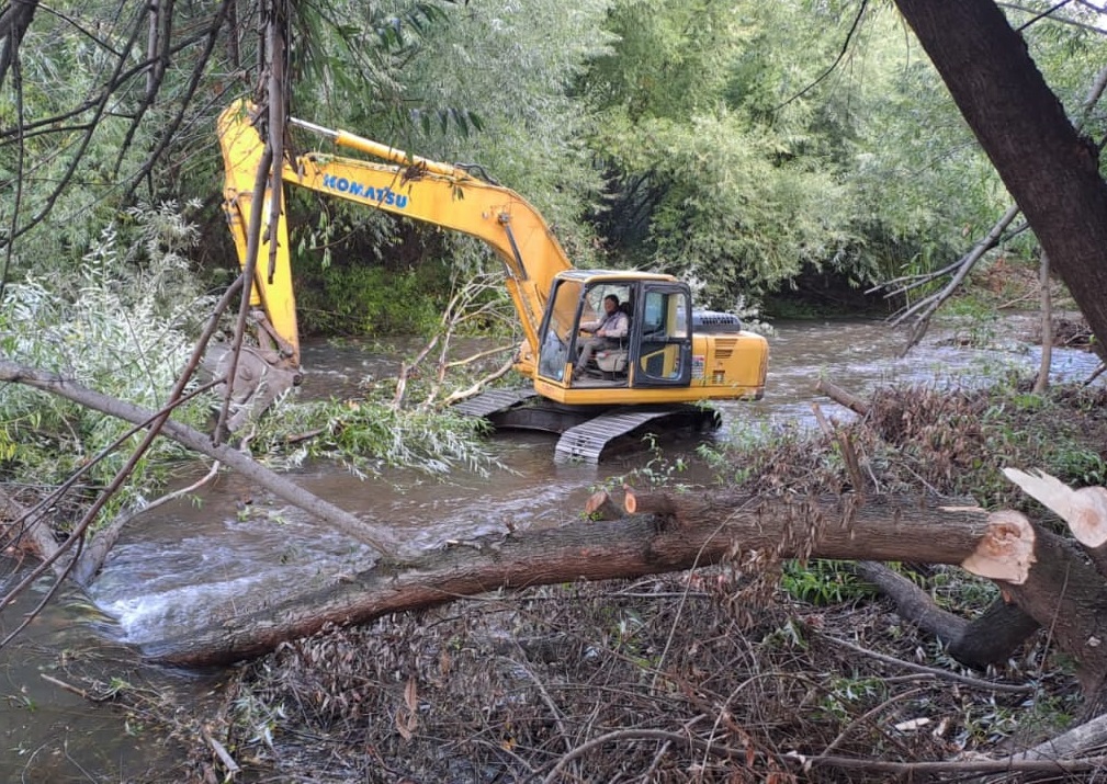 Continúa la limpieza del río Quemquemtreu en Lago&nbsp;Puelo