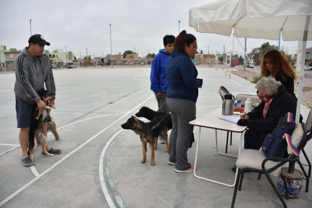 Trelew: comenzó con la campaña de desparasitación y castración en los&nbsp;barrios