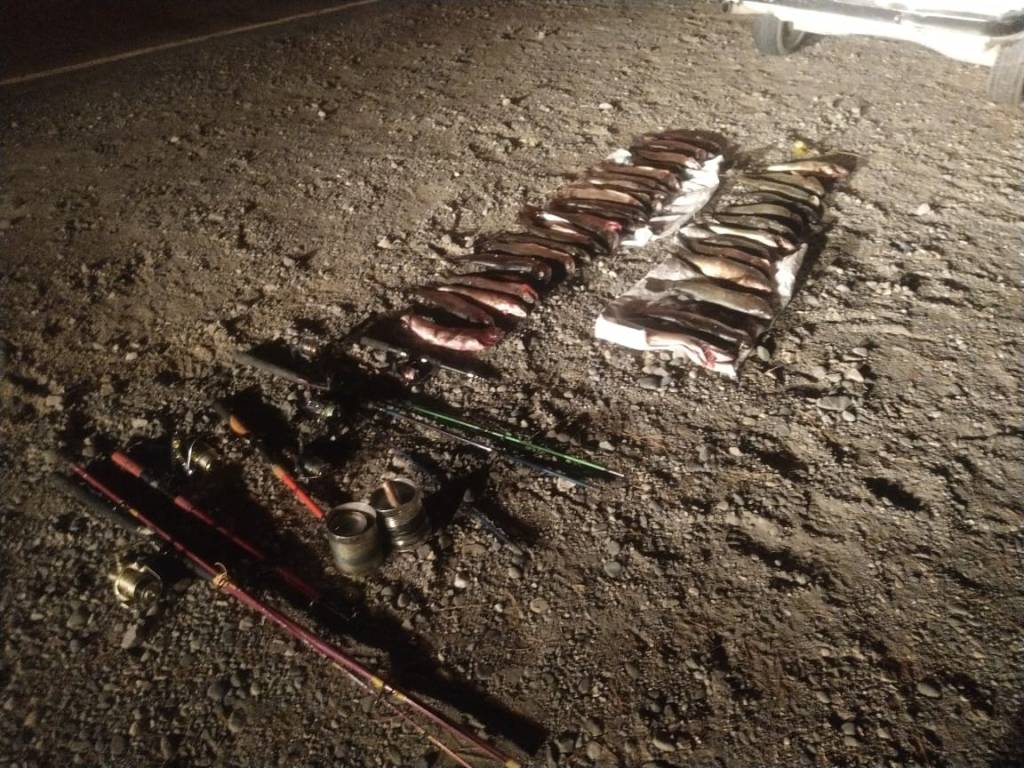 Pesca Continental: Inspectores de la Provincia controlan distintos espejos de agua en la&nbsp;cordillera