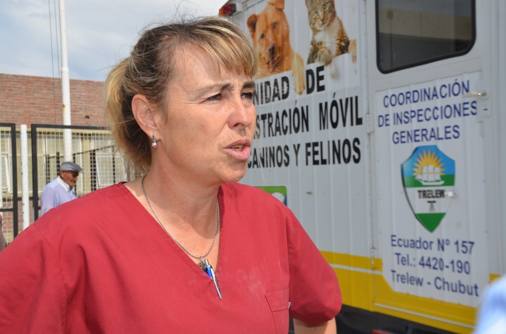 Trelew: Recomendaciones a los vecinos respecto de la transmisión de la gripe&nbsp;aviar