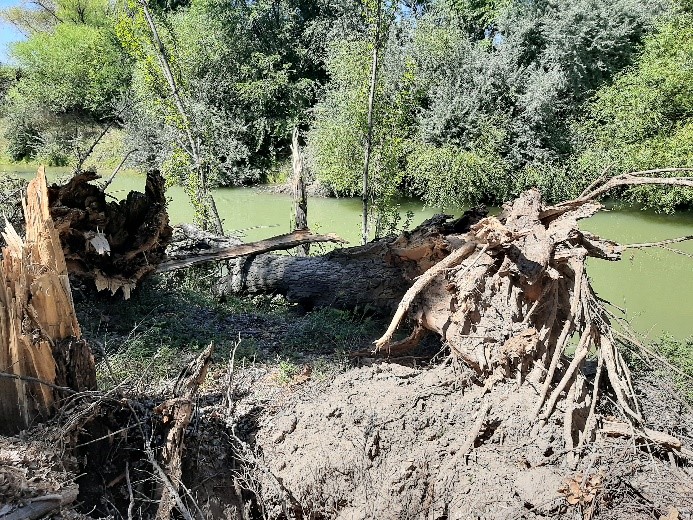 El IPA avanza con obras hídricas sobre los ríos Chubut y&nbsp;Senguer