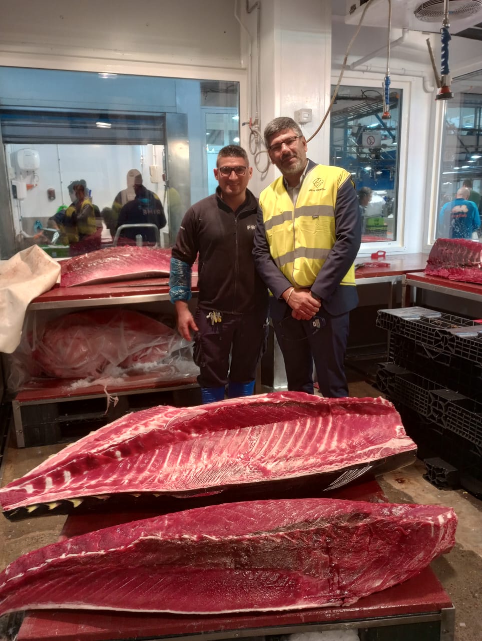 Provincia visitó el mayor mercado de productos frescos de Europa y estudia replicar exitoso modelo pesquero en&nbsp;Chubut