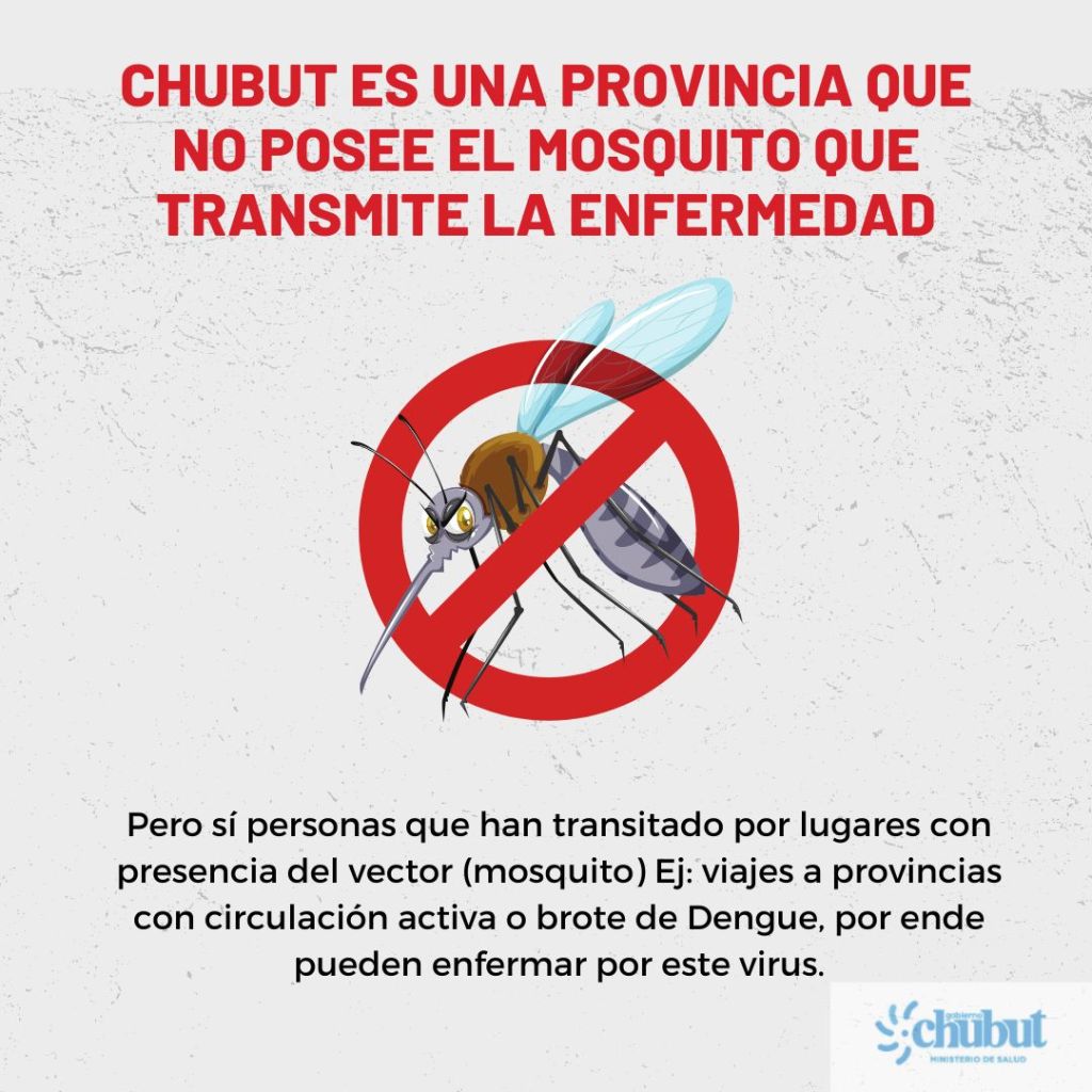 El Gobierno del Chubut explicó cuál es la situación de la Provincia con respecto al&nbsp;Dengue
