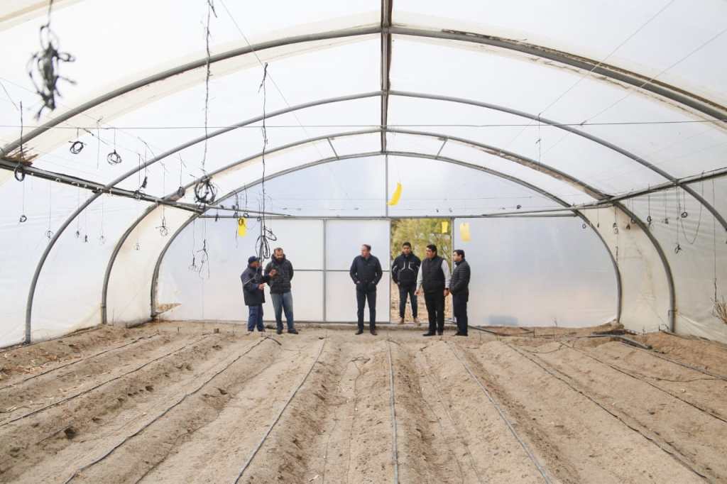 La Municipalidad de Rawson trabaja para avanzar en la forestación de distintos puntos de la&nbsp;ciudad