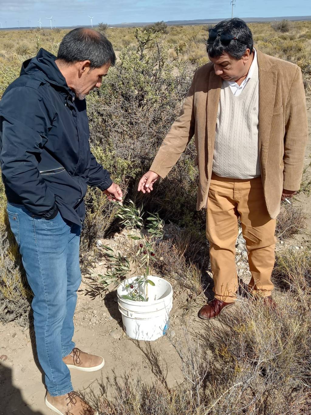 La Agencia de Desarrollo Económico de Rawson brindará un taller a productores que conforman el Polo&nbsp;Agrícola