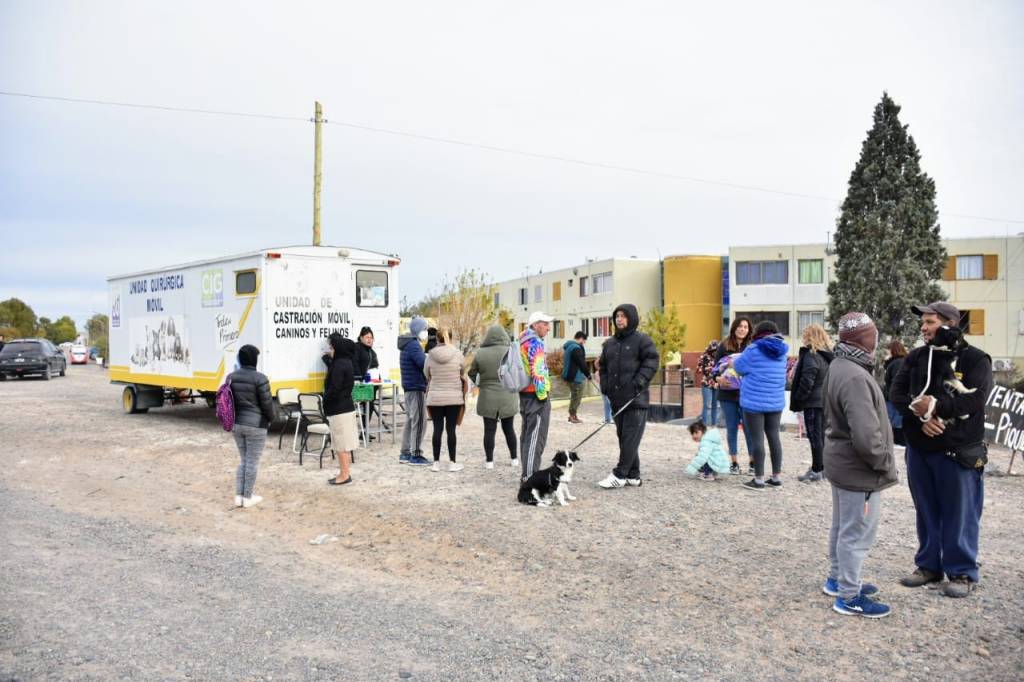 Trelew: Última semana de la campaña de desparasitación en los&nbsp;barrios