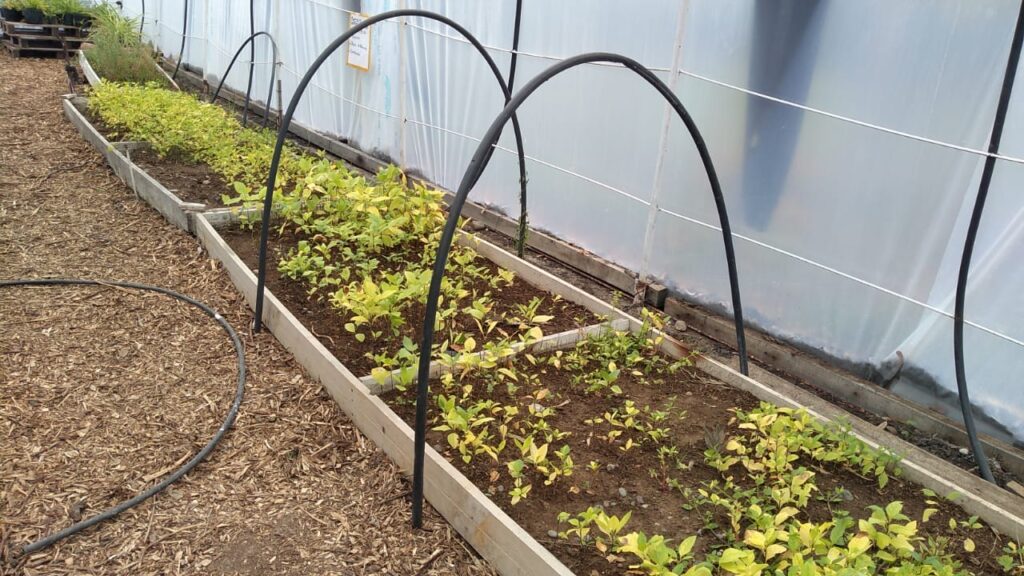 El Vivero Municipal ofrece capacitación sobre&nbsp;microtunel