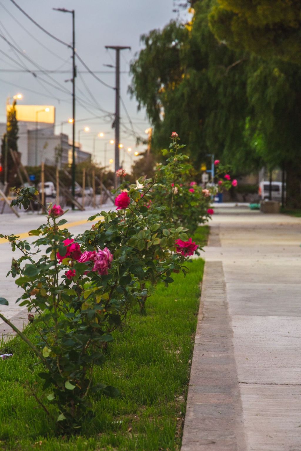 Inauguran mañana las obras de la remodelación integral de la Plaza Guillermo&nbsp;Rawson