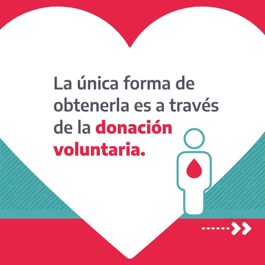 La importancia de la Donación de Sangre para el sistema sanitario&nbsp;chubutense