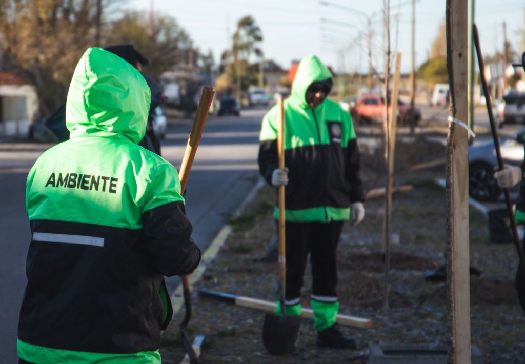 La Municipalidad de Rawson continúa con la forestación de arbolado urbano en diferentes sectores de la&nbsp;ciudad