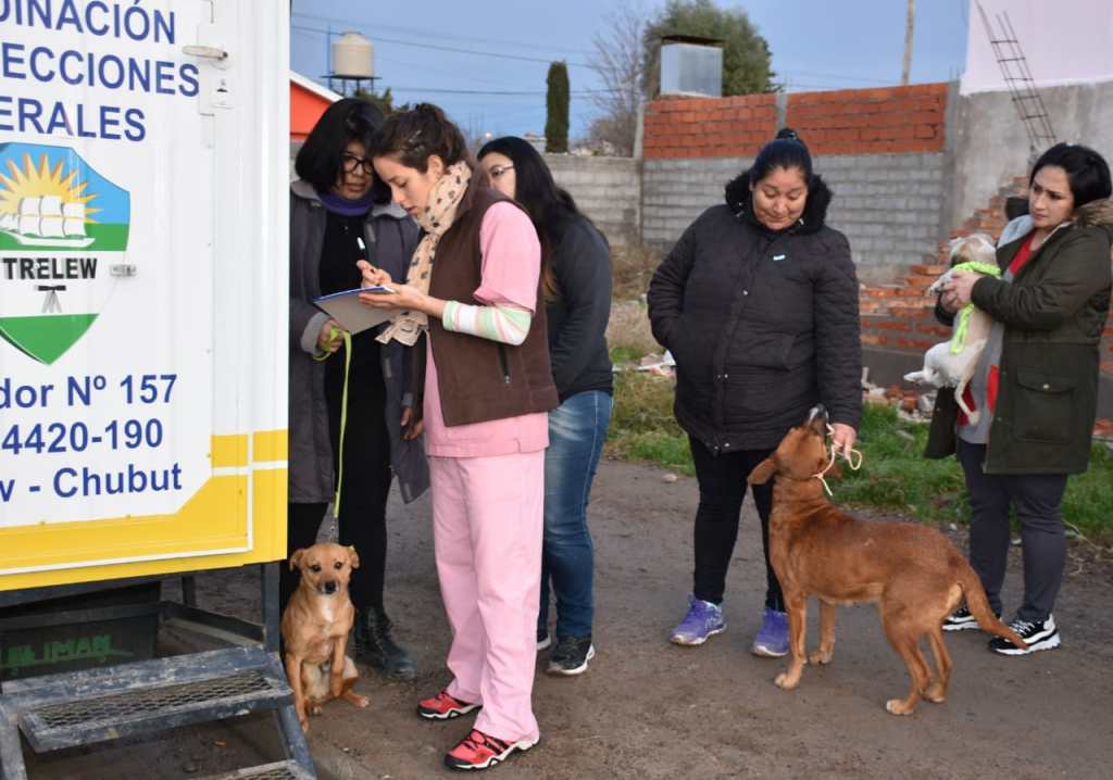 Trelew: El área de Zoonosis del Municipio realizó 2000 castraciones y dio en adopción a 155 mascotas en lo que va del&nbsp;año