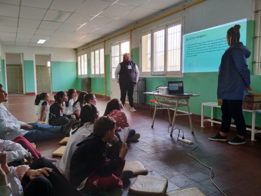 Provincia brindó charlas sobre fauna silvestre en escuelas de Puerto Madryn y Puerto&nbsp;Pirámides