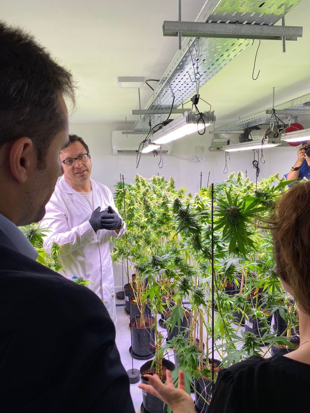 Con el apoyo del Gobierno del Chubut, productor de cannabis medicinal participará de Feria Internacional en&nbsp;Alemania