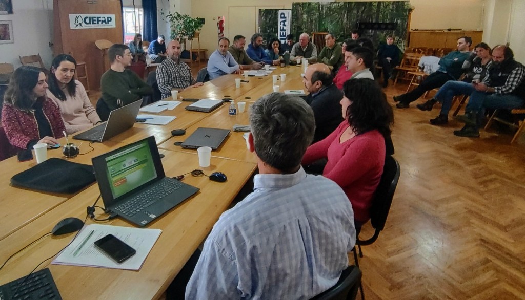 Se abrió la convocatoria para financiar proyectos de protección y manejo del bosque nativo por 174 millones de&nbsp;pesos