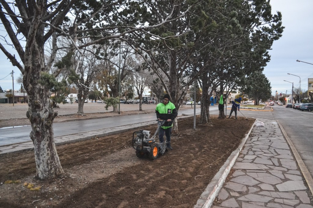 Rawson realiza trabajos de sembrado en bulevares de la&nbsp;ciudad
