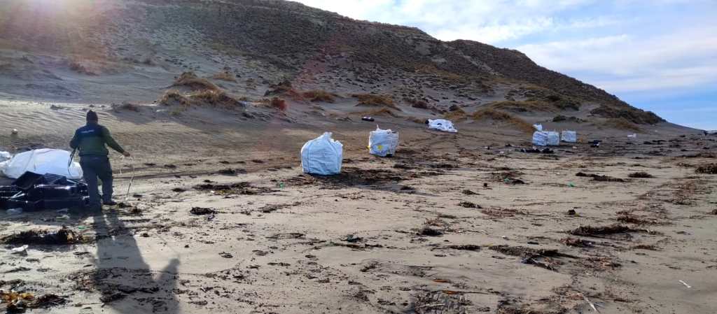 El Gobierno del Chubut comenzó con la limpieza de costas en el Área Natural Protegida Península&nbsp;Valdés