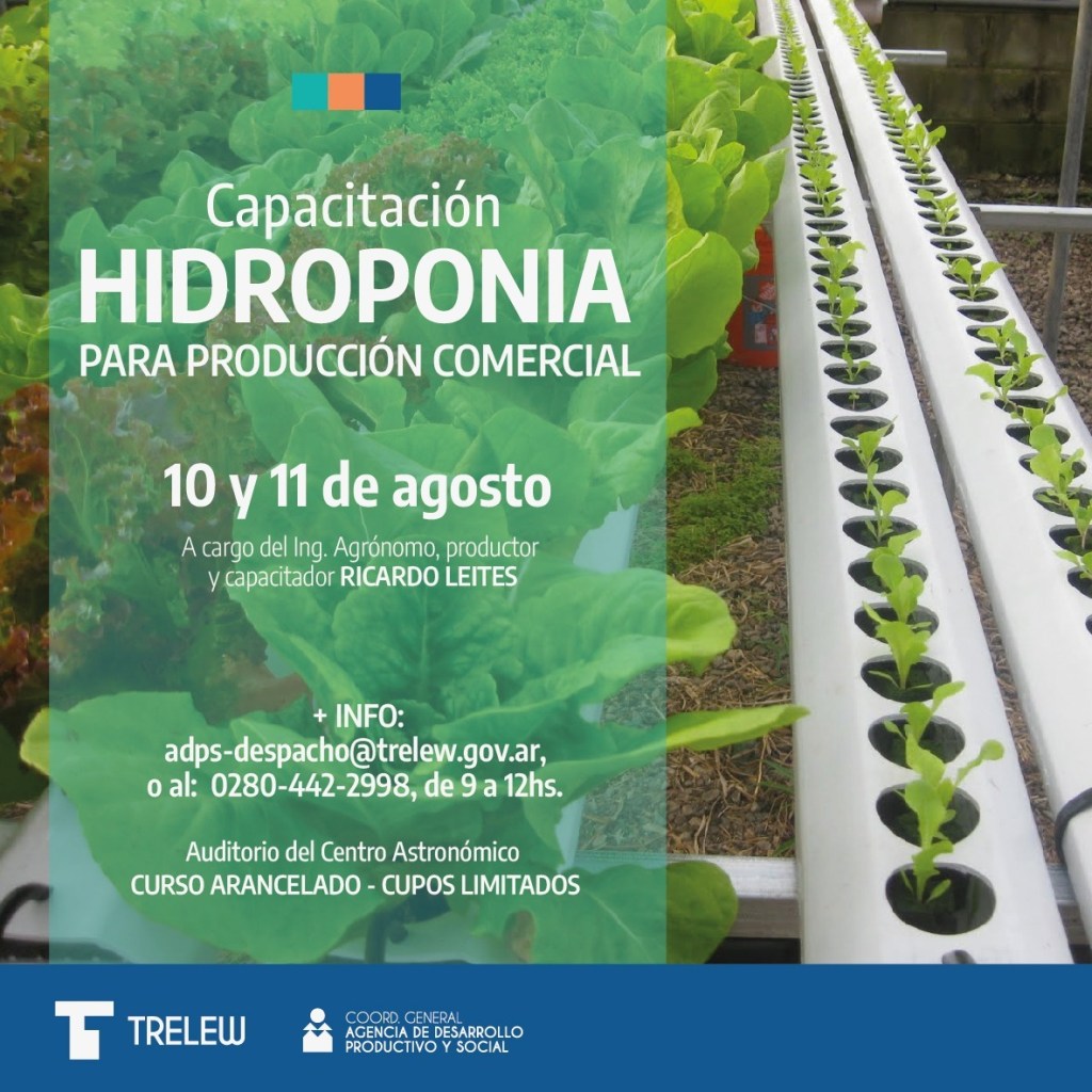 El Municipio de Trelew brindará curso sobre producción hidropónica a escala&nbsp;comercial