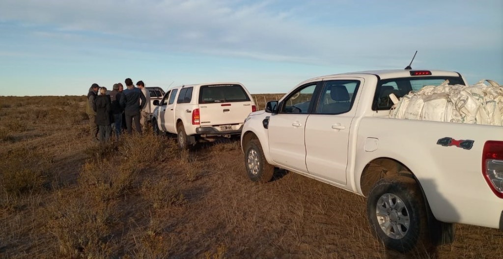 Se realizó una nueva jornada de limpieza en las costas del Área Natural Protegida Península&nbsp;Valdés