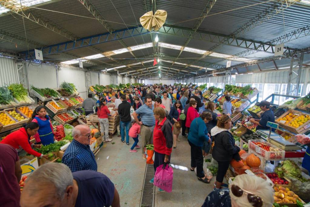 Trelew: Feria Patria por el Día de la Independencia