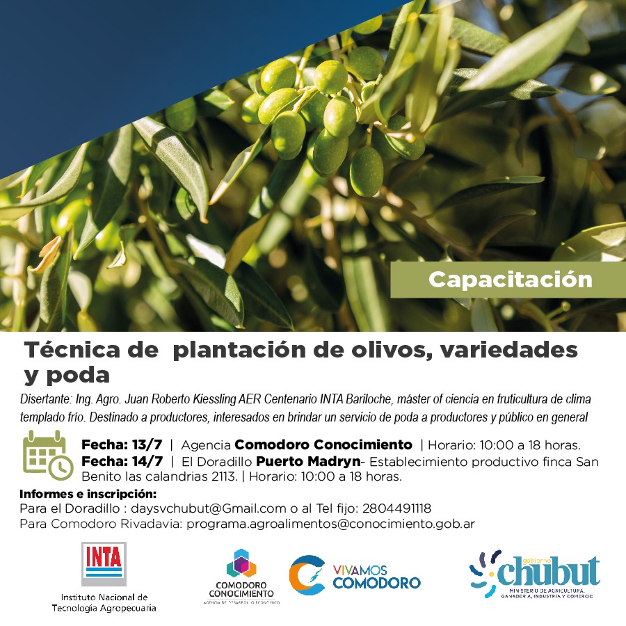El Gobierno convoca a la segunda capacitación técnica del Plan Olivícola&nbsp;Provincial