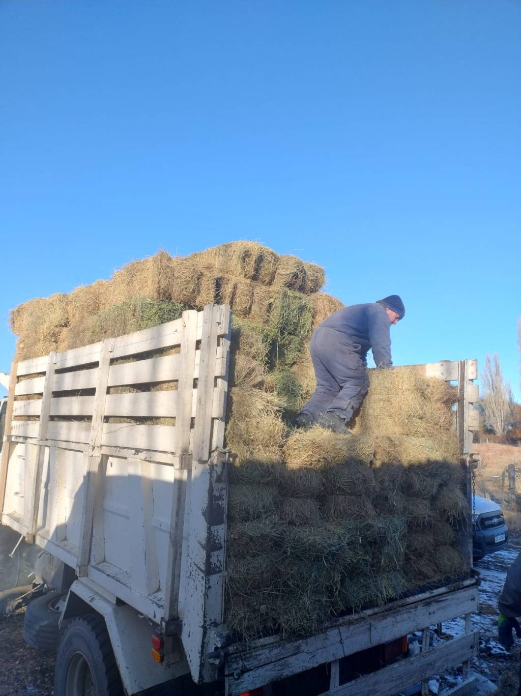 El Gobierno de la Provincia entregó aportes por más de 7 millones de pesos para la compra de forrajes destinados a Comunas&nbsp;Rurales