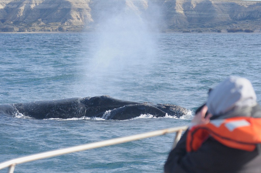 Gran movimiento turístico durante el receso invernal en&nbsp;Chubut