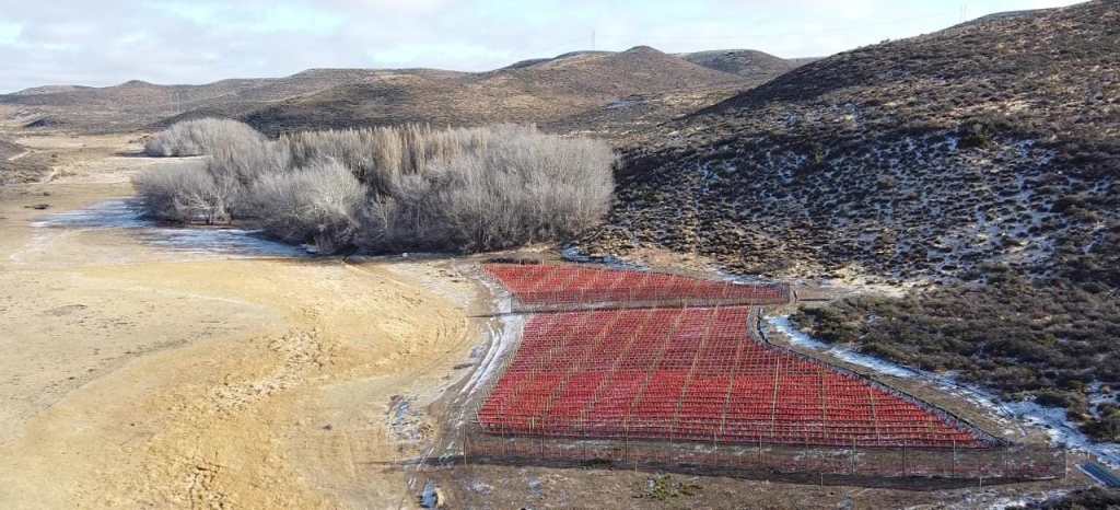 Funcionarios del Gobierno Provincial recorrieron proyecto de viñedos en Pampa del&nbsp;Castillo