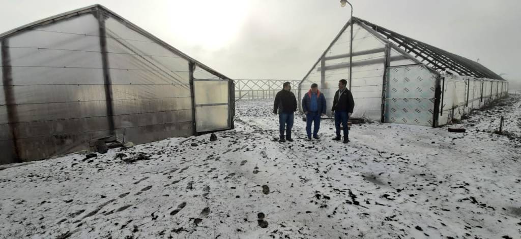 Programa de Agricultura Familiar: Provincia acompaña a Cholila en la producción de alimentos bajo&nbsp;cubierta