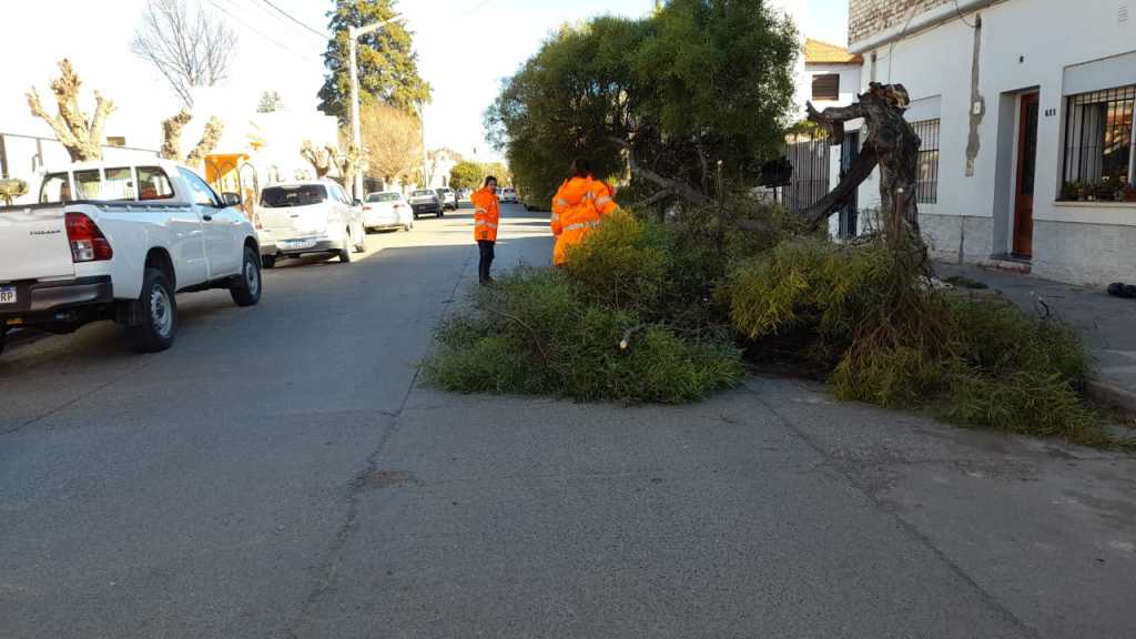La Municipalidad de Trelew intervino en varios sectores para atender emergencias por el temporal de&nbsp;viento