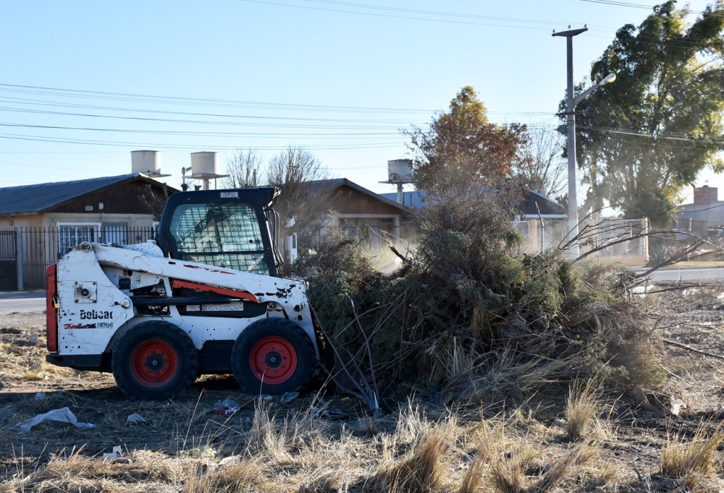 El Municipio de Trelew mantiene tareas de erradicación de Minibasurales