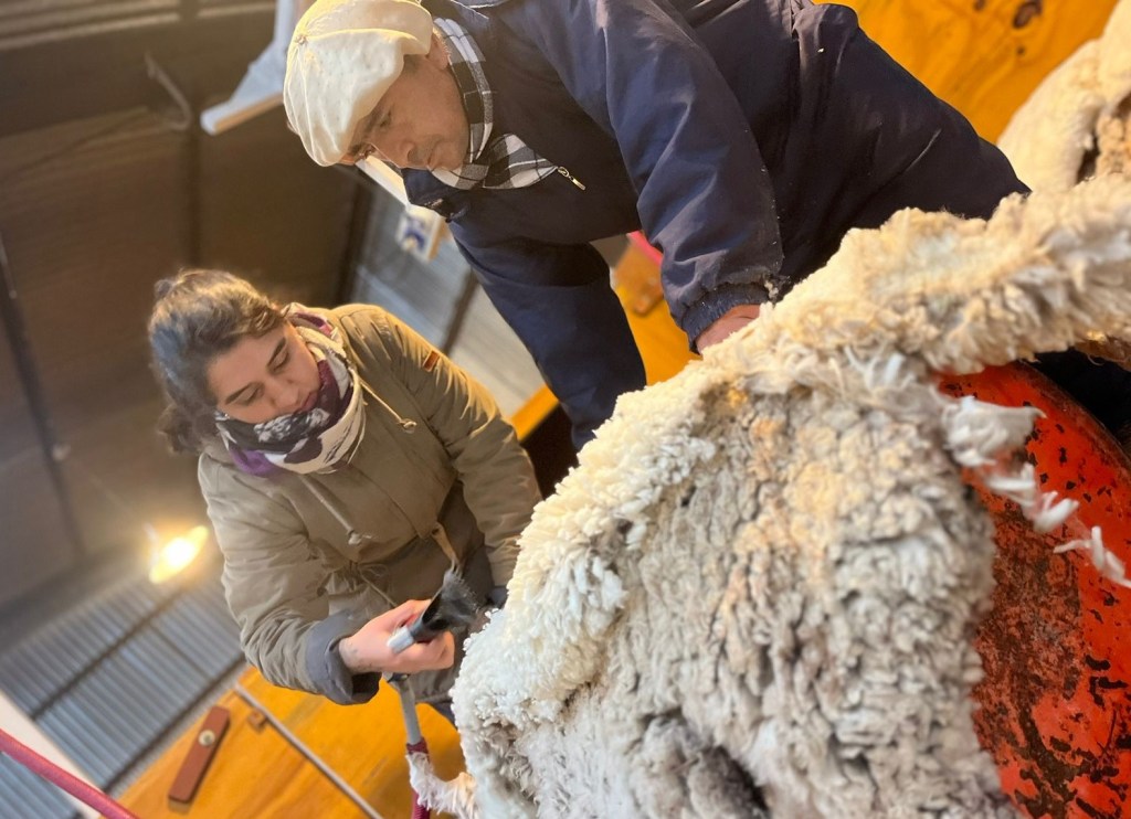 Finalizó con éxito el Curso de Formación de Acondicionadores de&nbsp;Lanas